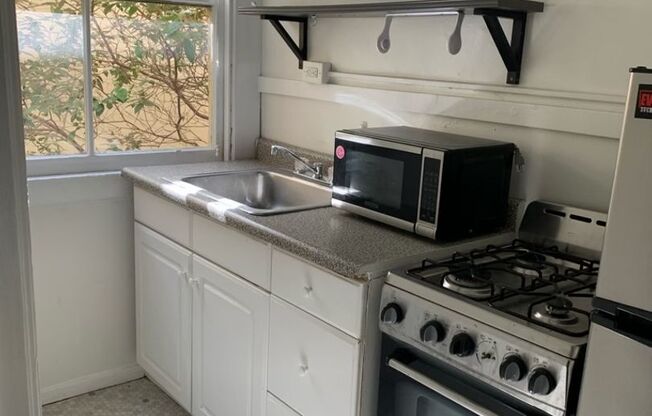 Studio, 1 bath, $1,295