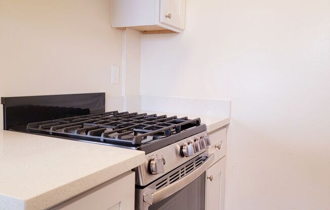 Studio, 1 bath, 450 sqft, $2,500, Unit 702