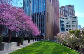 1 bed, 1 bath, $3,500, Unit 521