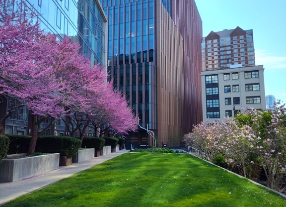 1 bed, 1 bath, $3,500, Unit 521