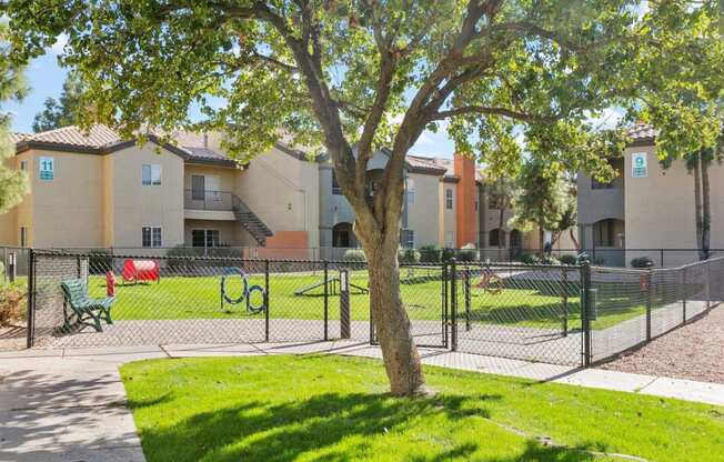 our apartments have a park with a playground and a tree