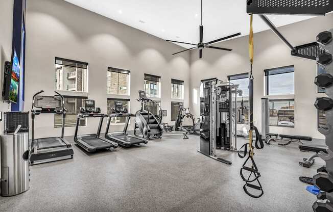 A spacious gym with a variety of equipment including treadmills, weights, and a bench press.