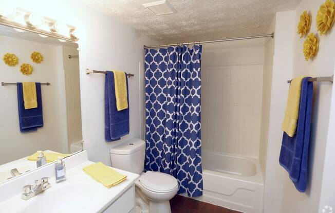 a bathroom with a blue shower curtain and a toilet and a sink