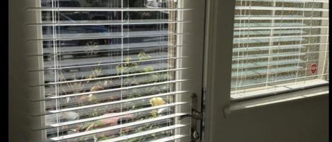 3 San Jose Vineyard Ct