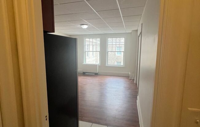 Studio, 1 bath, 224 sqft, $1,000, Unit 917