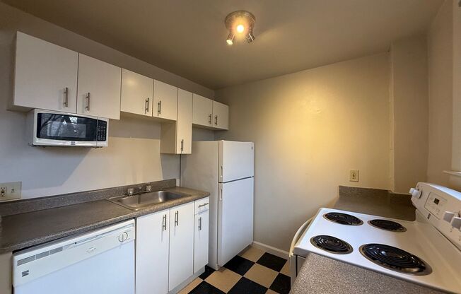 Studio, 1 bath, 405 sqft, $1,150, Unit 304