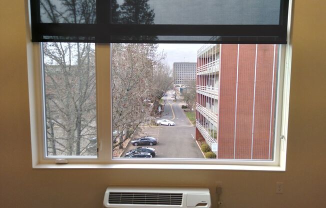 1 bed, 1 bath, 585 sqft, $1,449, Unit 301