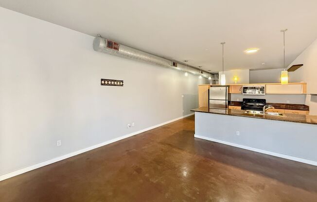 Adorable 1 bedroom, 1 bathroom condo in Downtown!