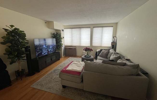 1 bed, 1 bath, 731 sqft, $3,100, Unit 425