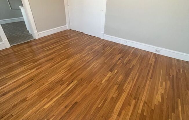 Studio, 1 bath, $1,095, Unit 12 Mattoon St Unit 5