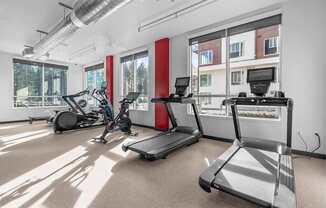 A gym with treadmills and elliptical machines.