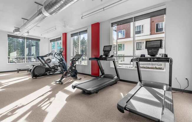 A gym with treadmills and elliptical machines.