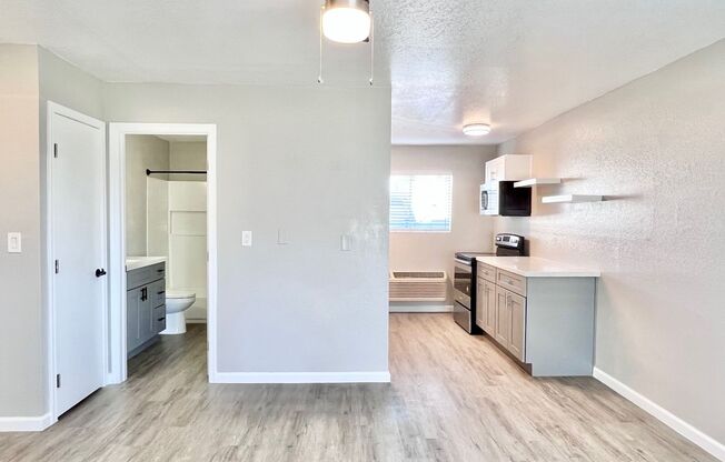 Studio, 1 bath, 407 sqft, $995, Unit 107