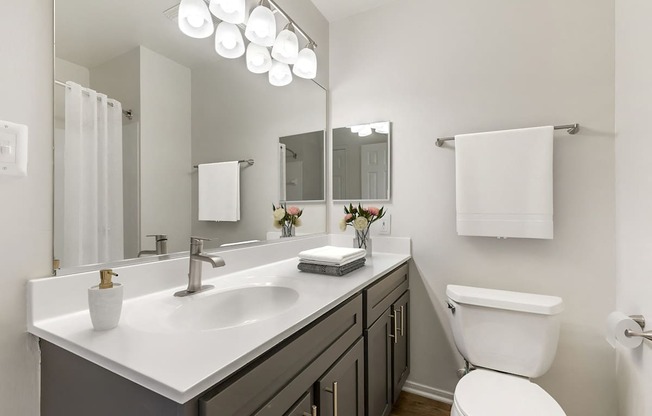 Luxurious Bathroom at The Apartments at Tamar Meadow, Columbia, Maryland