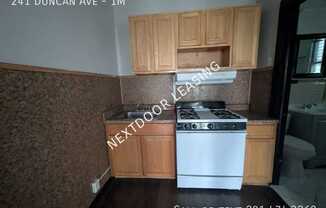 241 Duncan Ave 4
