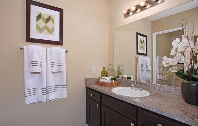 Bathroom sink and well-lit vanity