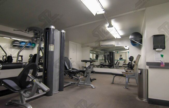 1 bed, 1 bath, $2,700, Unit APARTMENT # 806