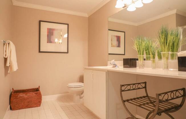 Luxurious Bathroom at Cascades Overlook Apts., Owings Mills, Maryland