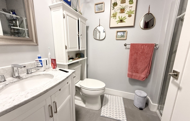 1 bed, 1 bath, 640 sqft, $3,395, Unit 310