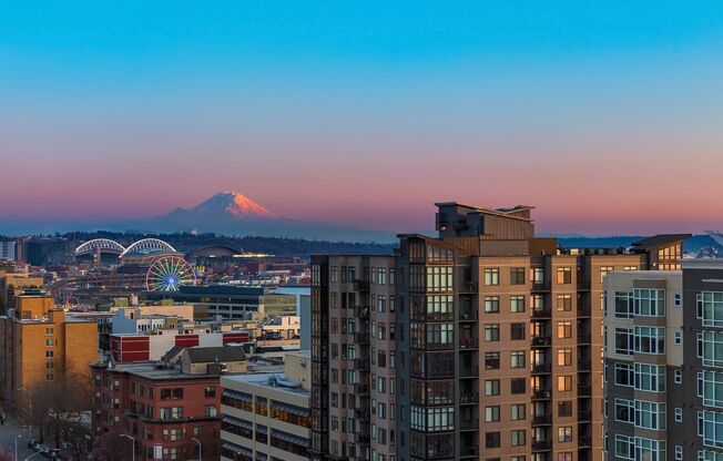 Gallery Penthouse Condo ~ Belltown