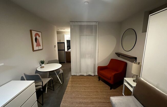 Studio, 1 bath, 244 sqft, $1,495, Unit 113 - Furnished