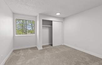 A room with a carpeted floor and a window showing trees outside.
