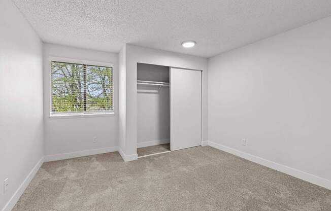 A room with a carpeted floor and a window showing trees outside.