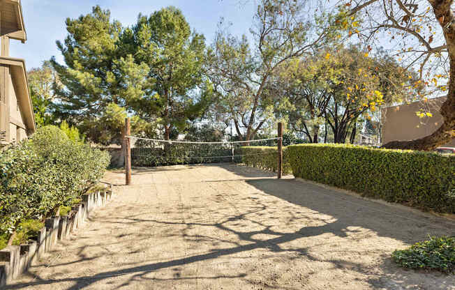 A sand volleyball court surrounded by hedges.