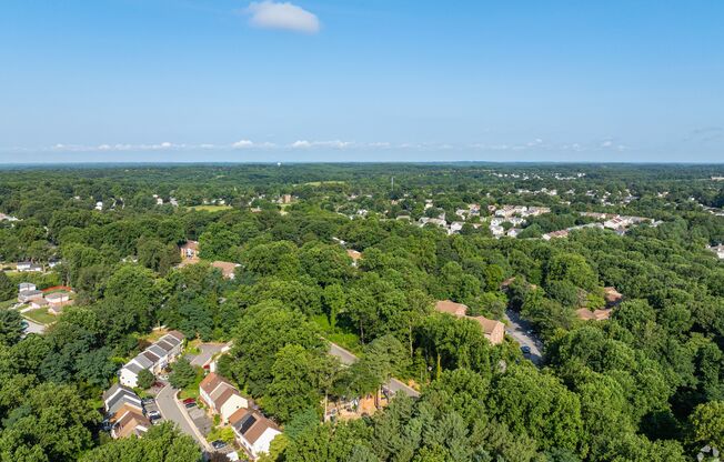 Community Aerial View
