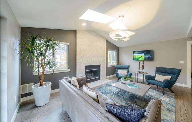 A living room with a couch, a coffee table, a plant, and a TV.