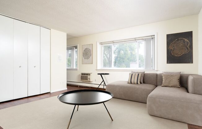 Studio, 1 bath, 400 sqft, $925, Unit 310