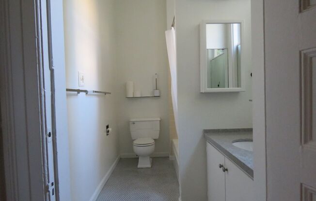 1 bed, 1 bath, $3,100, Unit 3