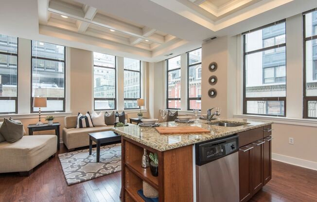 1501 Locust Street [Residential]