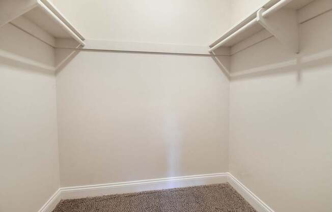 A white closet with a carpeted floor.