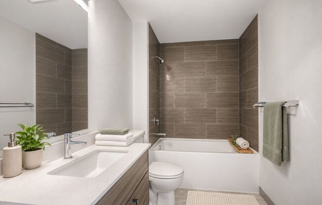 Studio, 1 bath, 365 sqft, $1,554, Unit 202