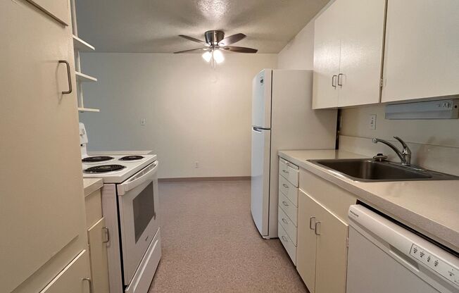 1 bed, 1 bath, $1,295, Unit 19