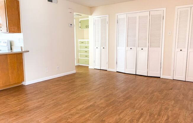 Studio, 1 bath, 450 sqft, $799, Unit 217