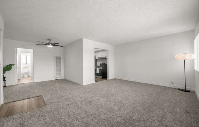 A spacious living room with a ceiling fan and a lamp.