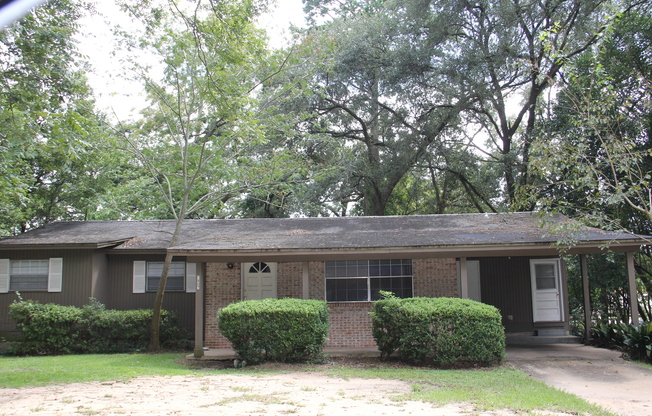 4 Bedroom House with Huge Yard