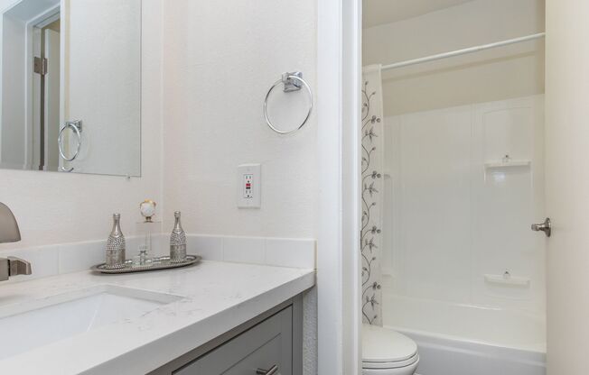 Studio, 1 bath, 350 sqft, $1,025, Unit C115