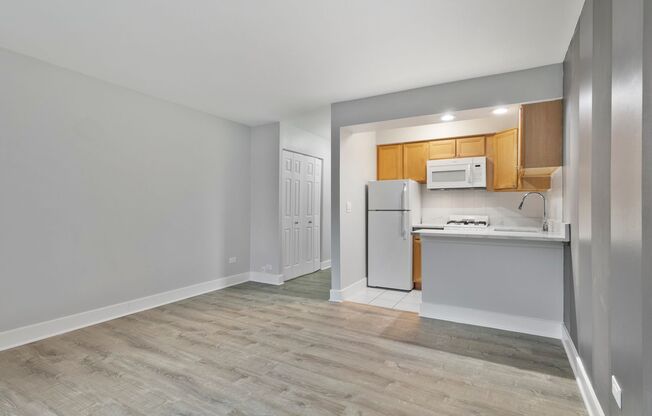Studio, 1 bath, 275 sqft, $1,350, Unit 241