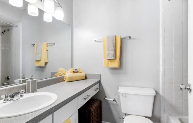 Bathroom with Modern Finishes