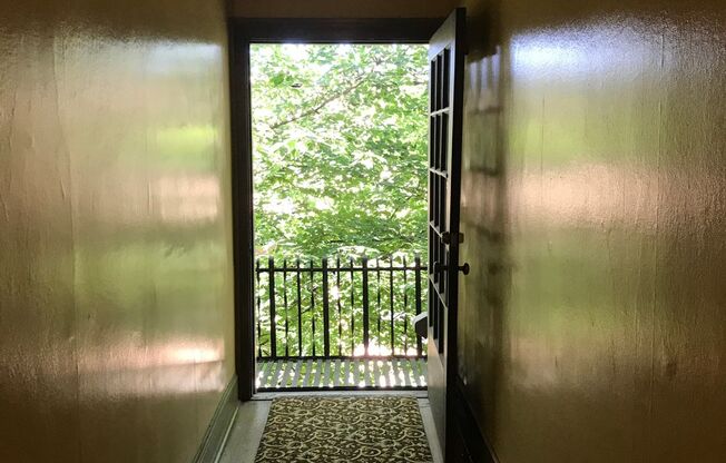 Studio, 1 bath, 340 sqft, $1,240, Unit 205