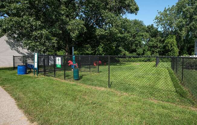 two dogs in a fenced in area behind a chain link fence