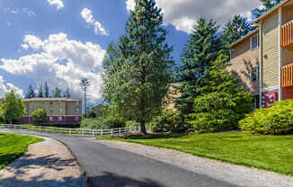 A road leads to a building with a white fence and trees in the background.