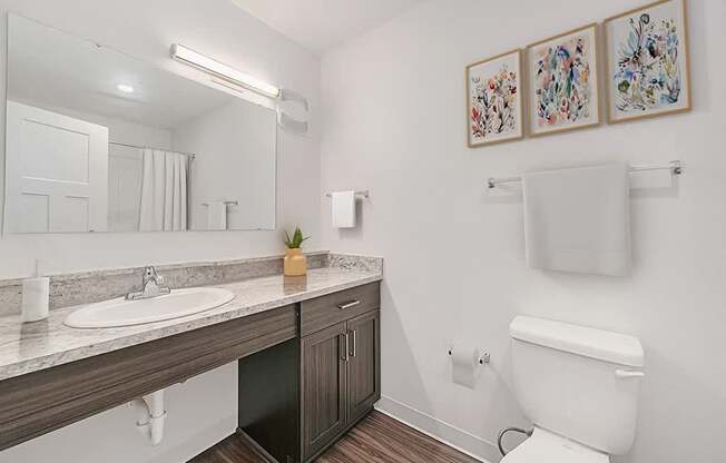 A main bathroom with a toilet, sink, mirror, and pictures on the wall at Trade Winds Apartment Homes, Elkhorn, Nebraska