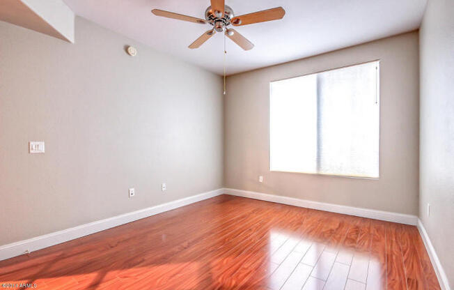 1 bed, 1 bath, $1,410