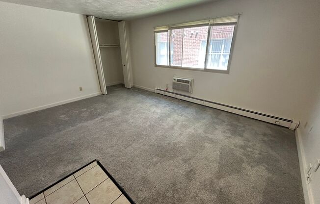 Studio, 1 bath, $795, Unit 217
