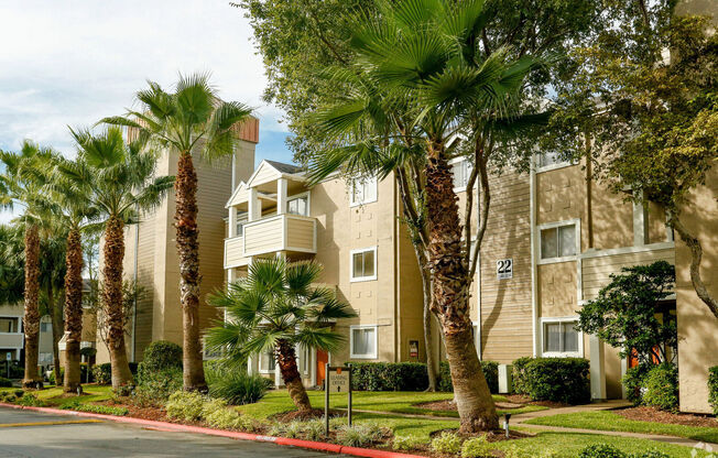 Palms on Westheimer Apartments