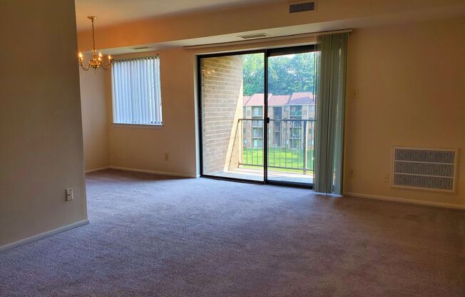 2 beds, 2 baths, 1,000 sqft, $1,950, Unit 14209 #303